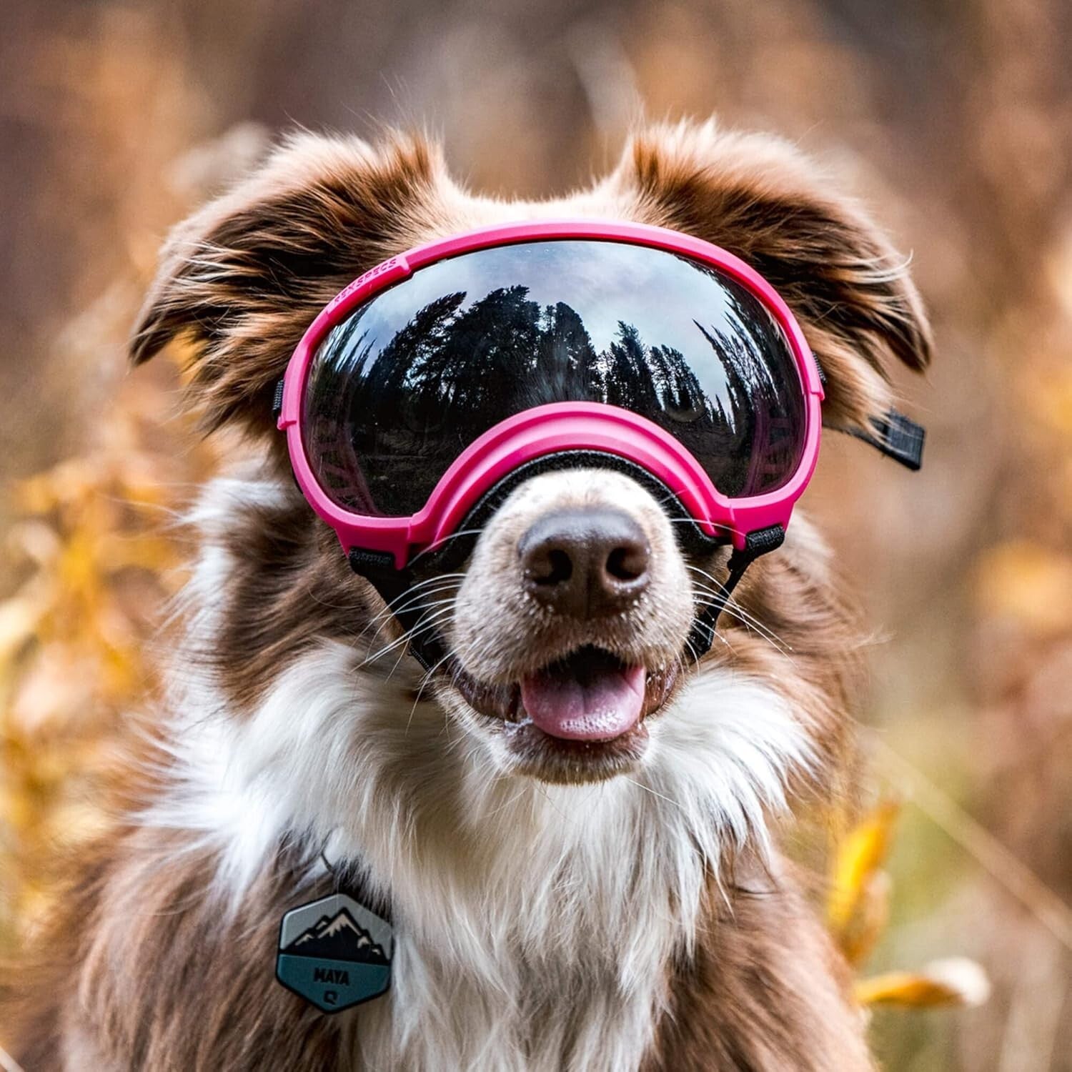 V2 X-Large Dog Goggles in Black - Protective Eyewear for Active Pups