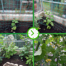 Load image into Gallery viewer, UV Stabilized Garden Trellis Netting for Tomatoes &amp; Vines - 2-Pack 32.8' x 6.6'