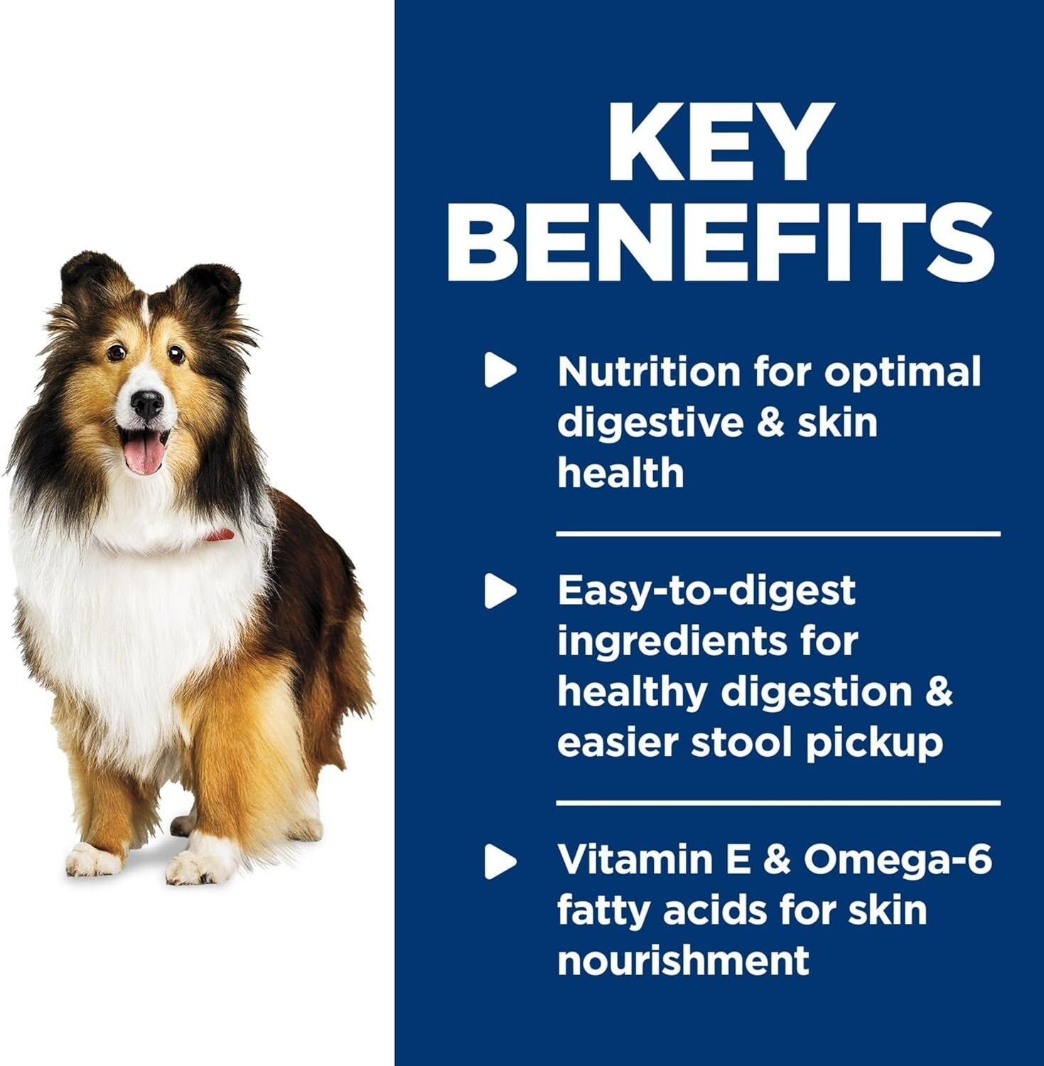 Science Diet Wet Dog Food - Adult Sensitive Stomach Turkey & Rice, 12.5 Oz, 1...