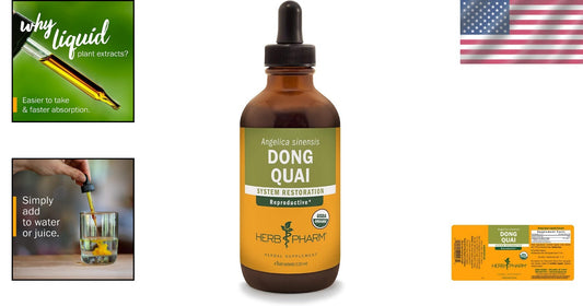 Angelica Sinensis Dong Quai Extract - 4 Oz for Reproductive System Support