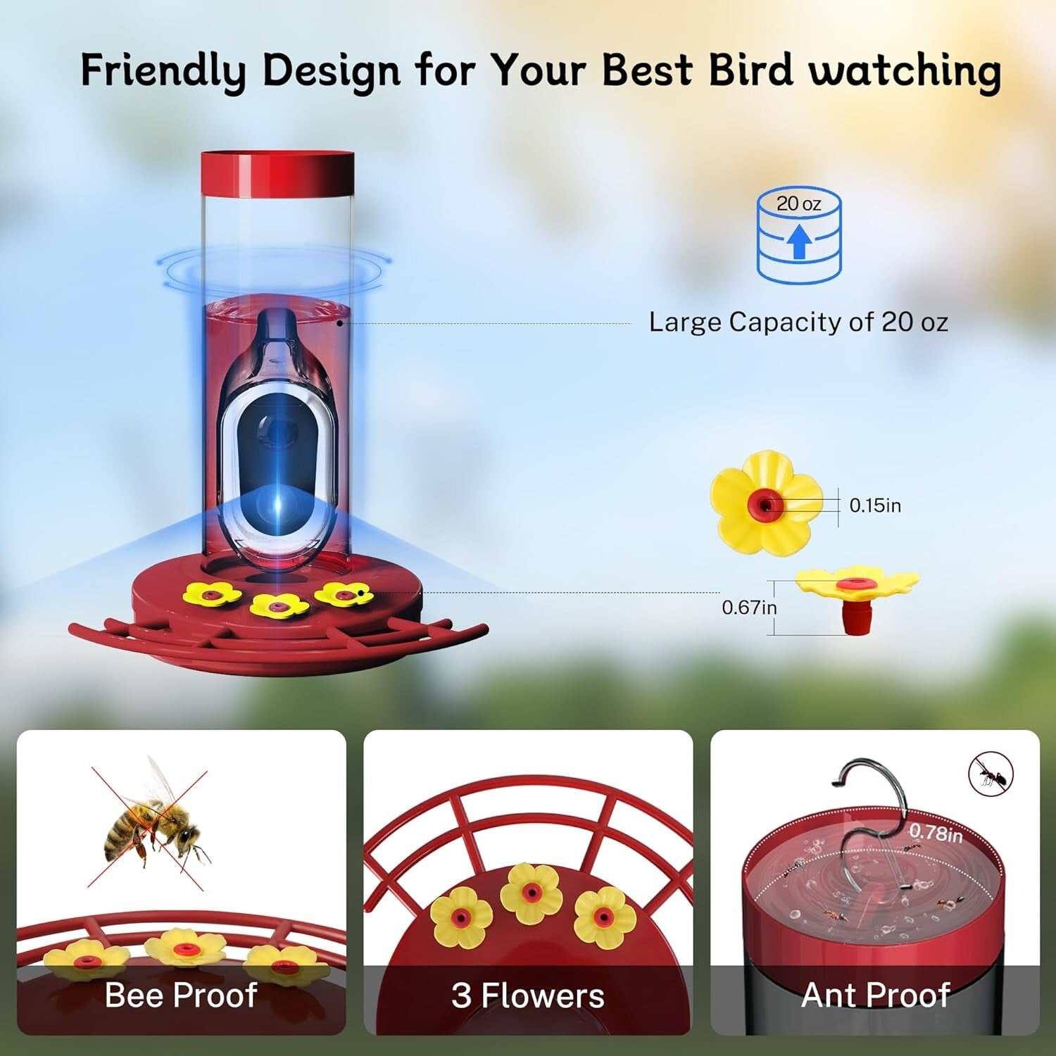 High-Definition Hummingbird Feeder Camera with Notifications – Family-Friendly
