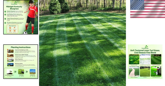 10 Lbs of Cold & Drought Tolerant Kentucky Bluegrass Seed - OptiGrowth Coated