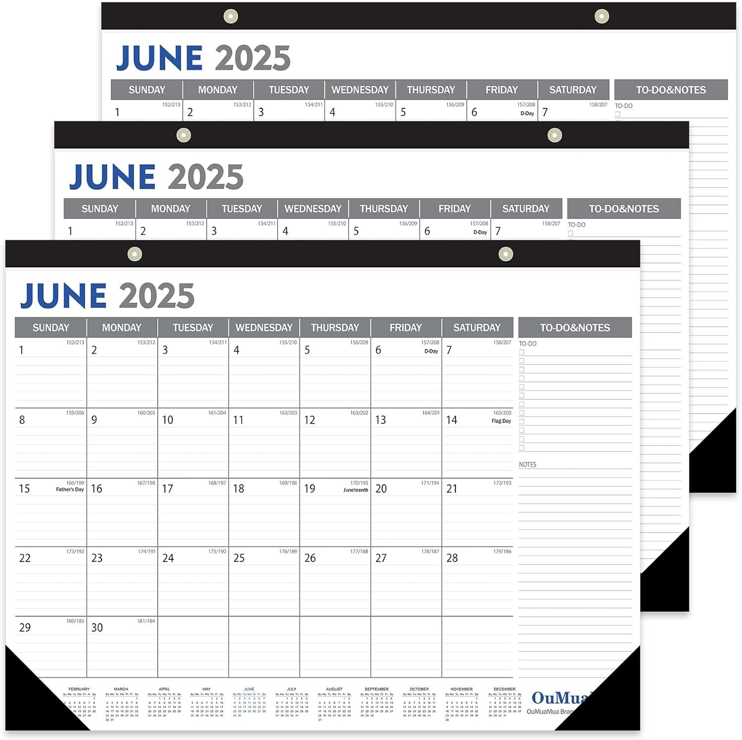 Spacious 2025-2026 Calendar Set - Ideal for Teams & Collaborative Workspaces