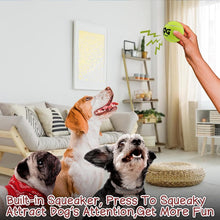 Load image into Gallery viewer, SGS Certified 50-Pack Squeaky Tennis Balls - Colorful Fun for Teething Puppies