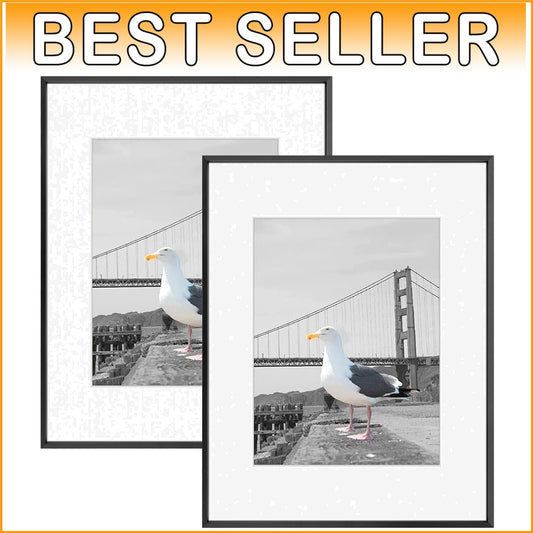 Durable 16x20 metal Picture Frames with 11x14 Mat - Perfect for Home and Gifting