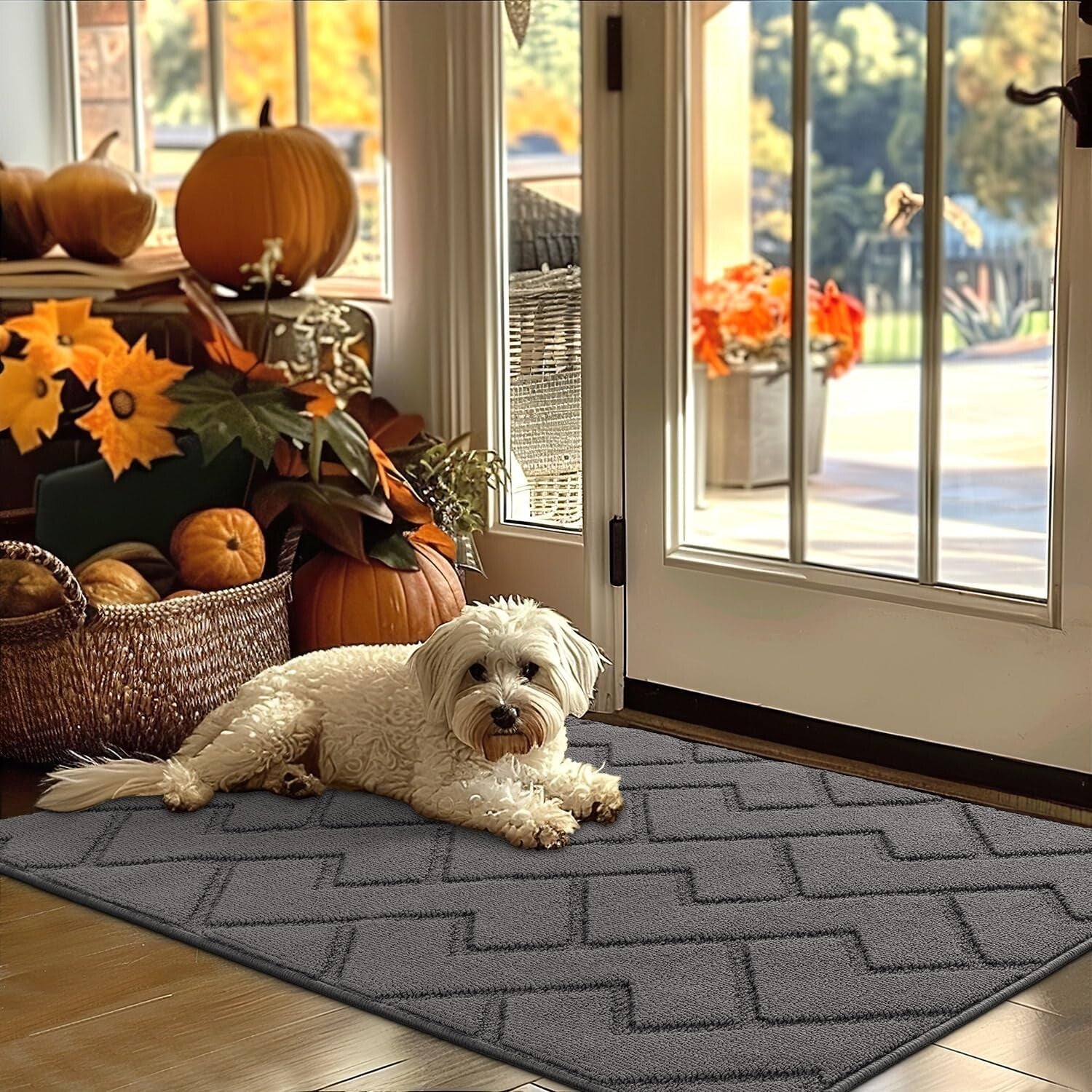 Moisture-Absorbent Grey Entryway Mat, 32"x48", Fade & Stain Resistant, Non-Slip
