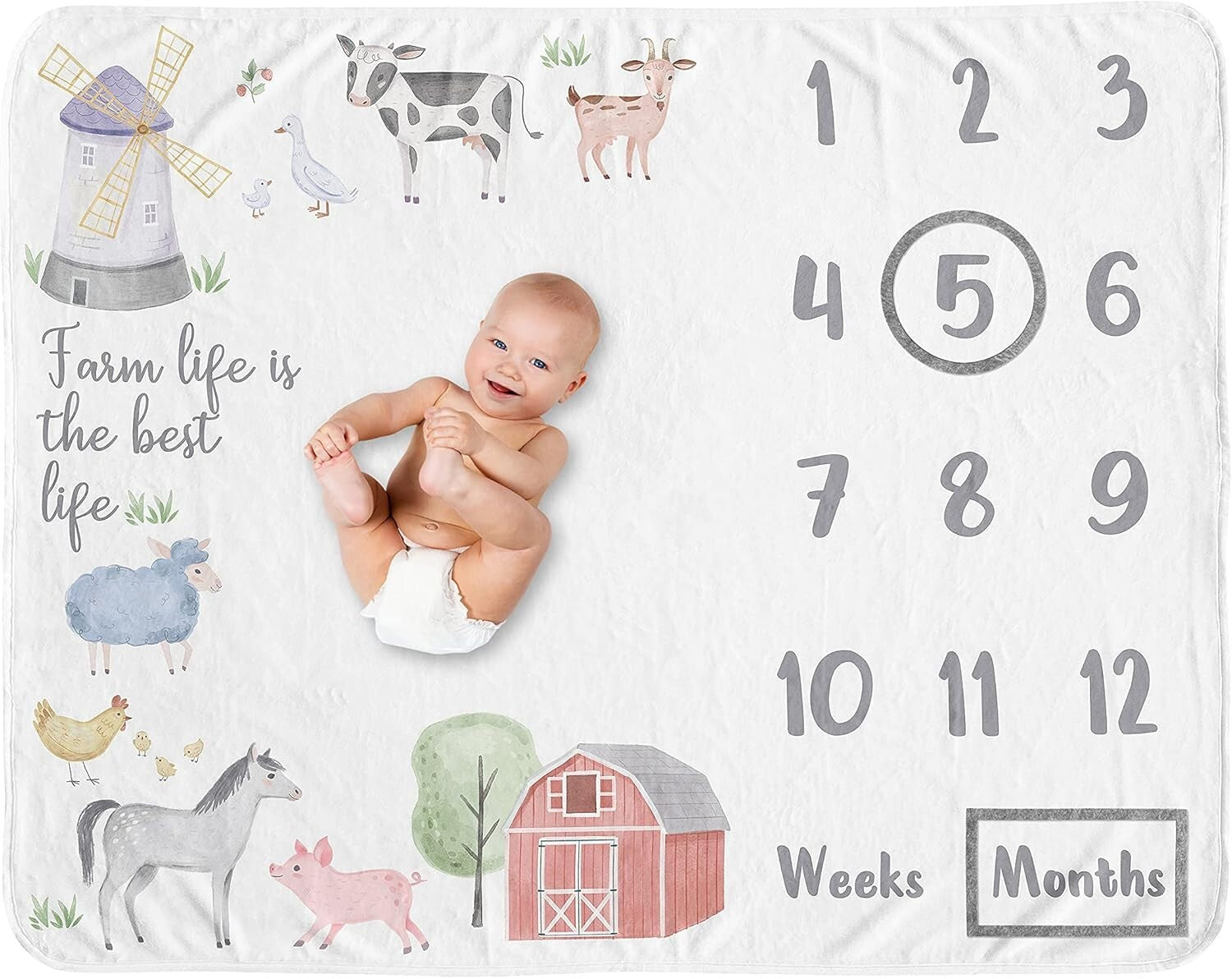 40x50 Minky Fleece Farm Animal Blanket with Photo Frames for Newborn Memories