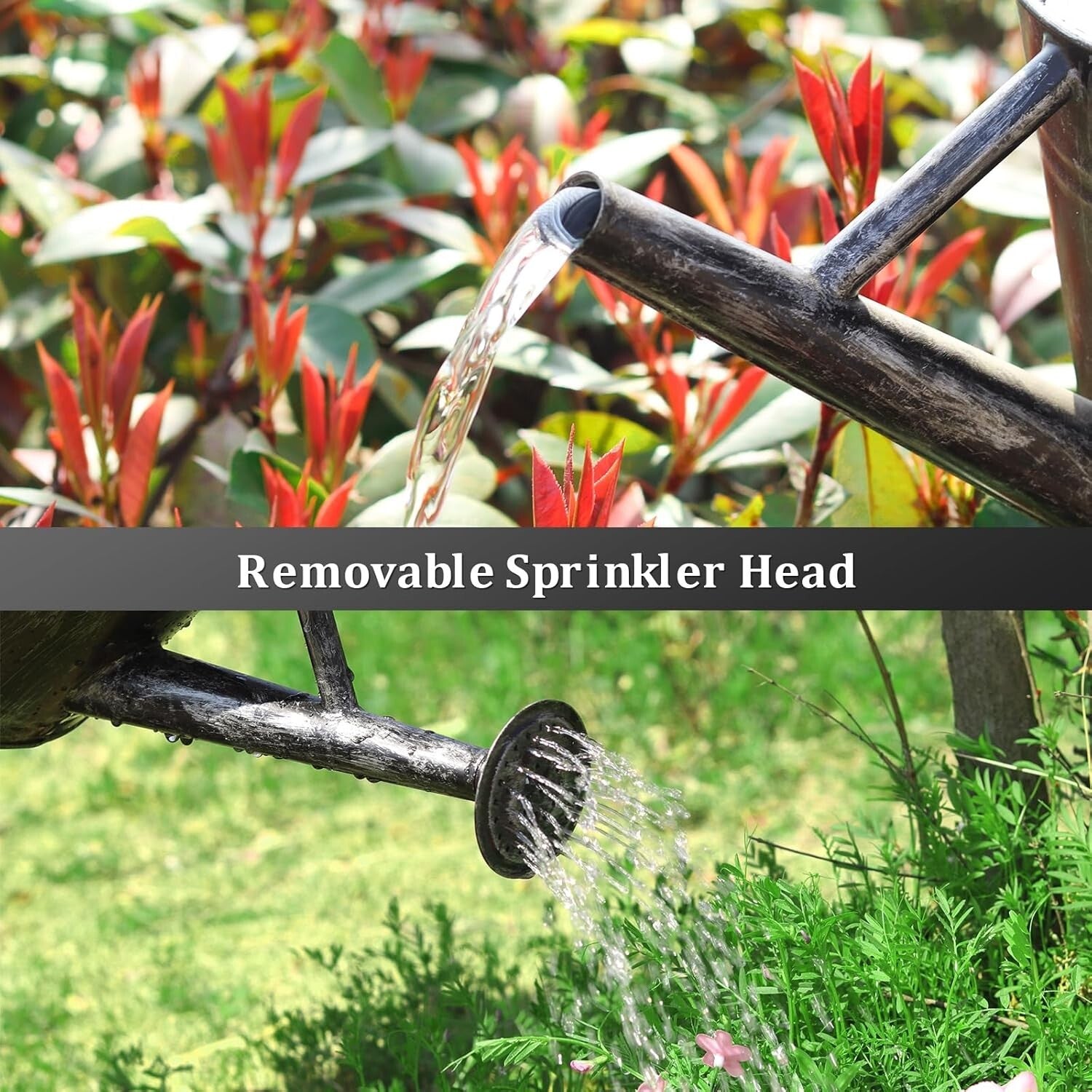 Elegant 1-Gallon Galvanized Steel Watering Can for Indoor & Outdoor Plants