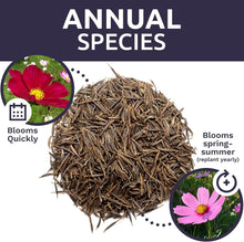 Load image into Gallery viewer, Guaranteed Growth Cosmos Seeds - 1 lb Wildflower Mixture in Premium Packaging