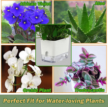 Load image into Gallery viewer, Elegant 7-Inch Self-Watering Pots for Indoor Plants – 8 Pack with Drainage Holes