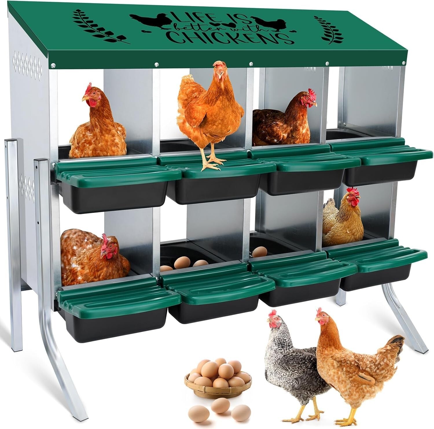 8-Hole Height-Adjustable Chicken Nesting Boxes with Automatic Egg Collection