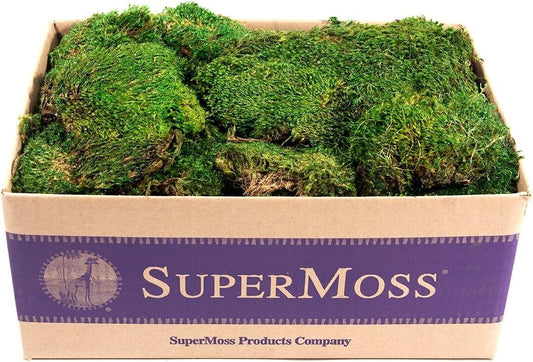 Natural Elegance: Fresh Green Mood Moss for Floral Arrangements - 3 Pounds