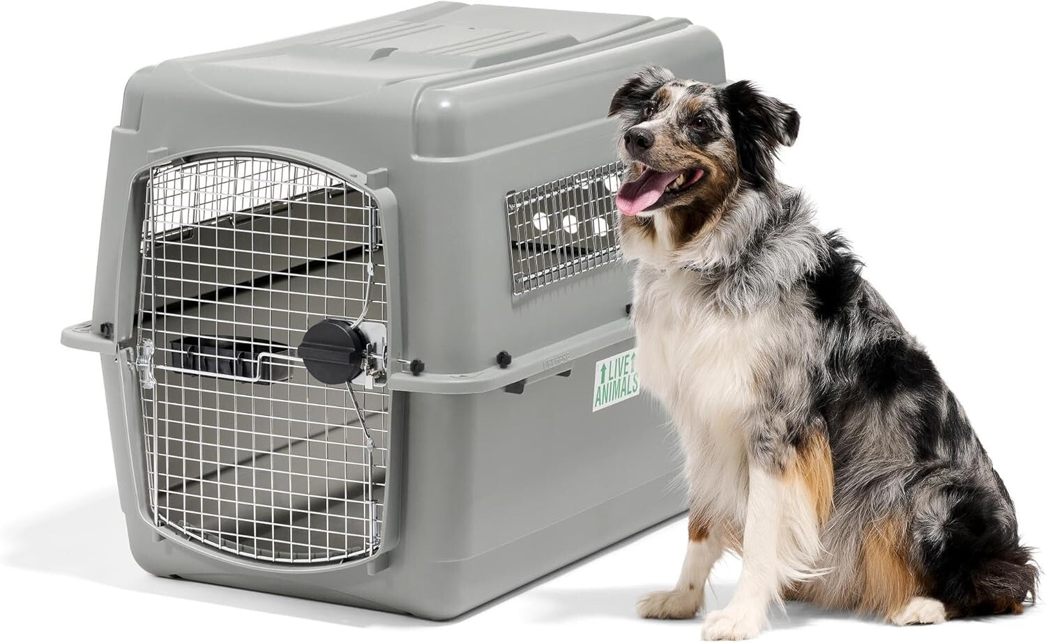 Sky Kennel 36in - IATA Compliant Dog Crate for Safe Air and Car Travel
