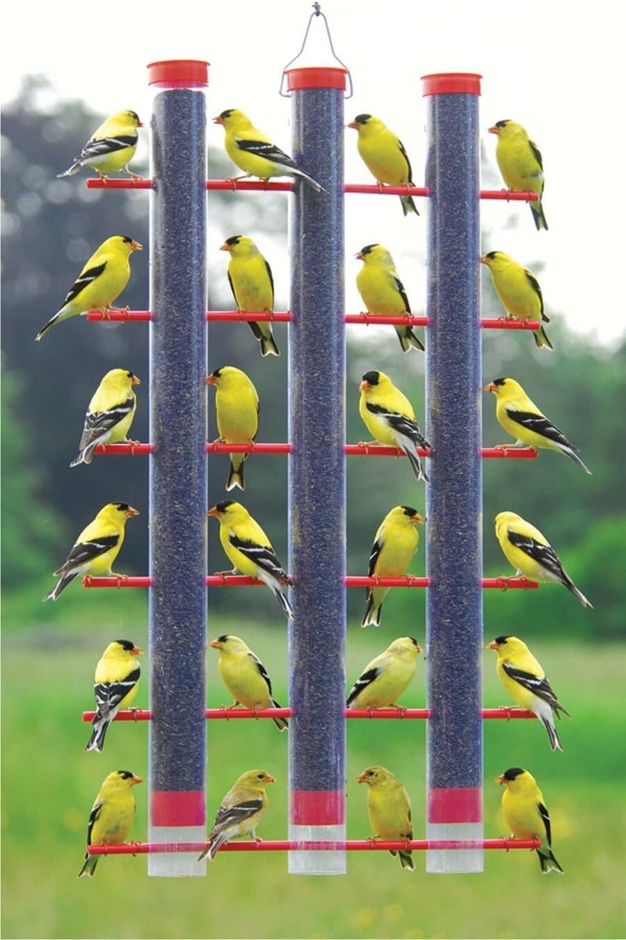 Large Capacity Finch Feeder – 3 Pounds of Seeds with 24 Perches for Goldfinches
