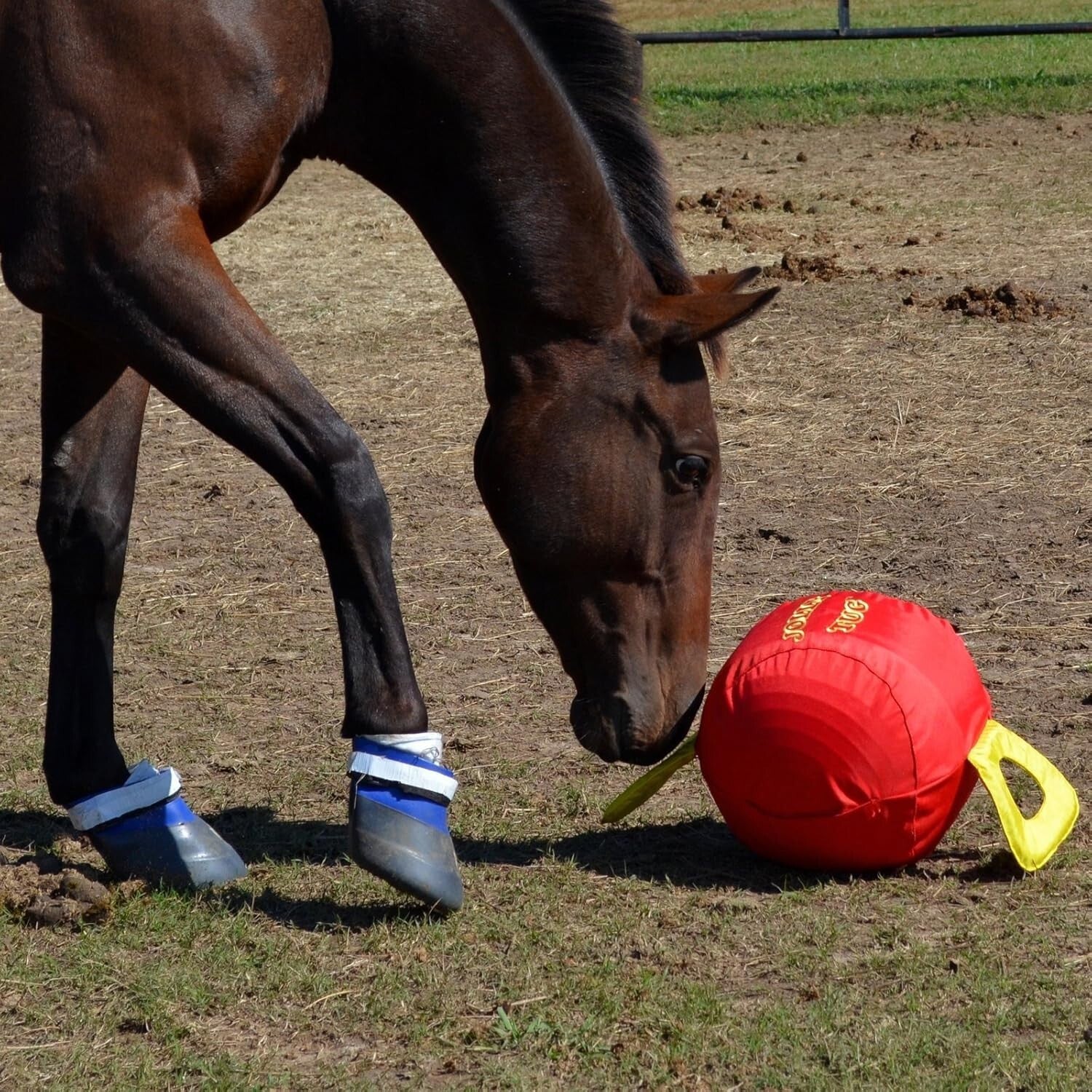 14" Jolly Tug Toy for Horses - Bright Blue, Machine Washable, All Breeds