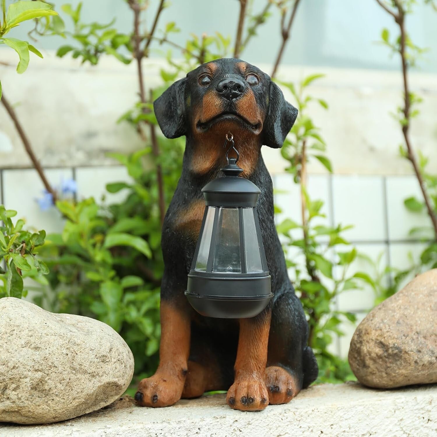 Charming Rottweiler Statue with Solar LED for All-Season Outdoor Decoration