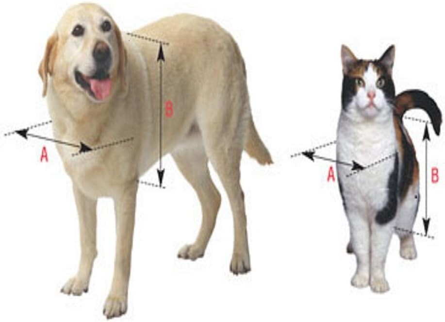 Super Large Vinyl Pet Door Flap Replacement for Ruff-Weather Doors - 15" x 23.5"