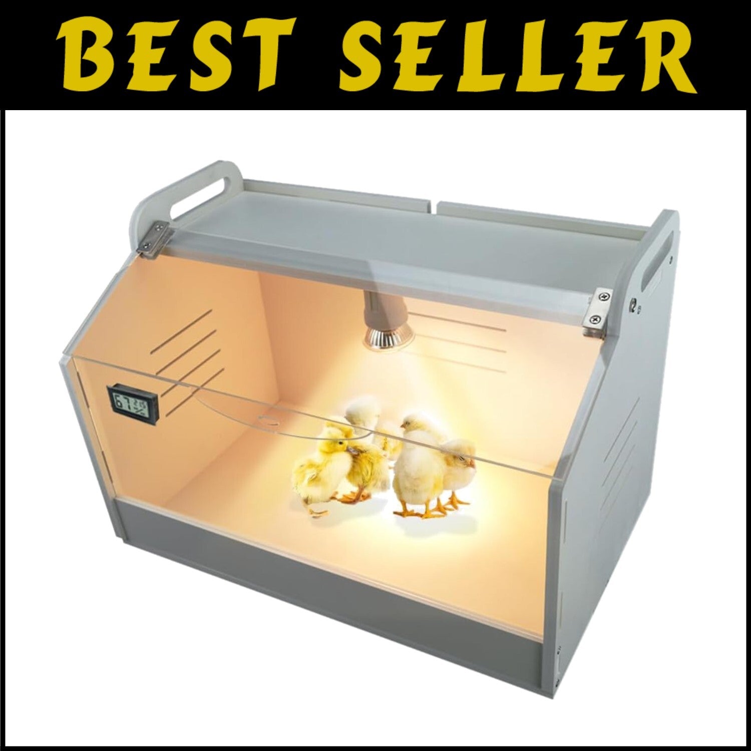 Compact Intelligent Brooder Box for 10-15 Chicks & Quail - Digital Temp Control