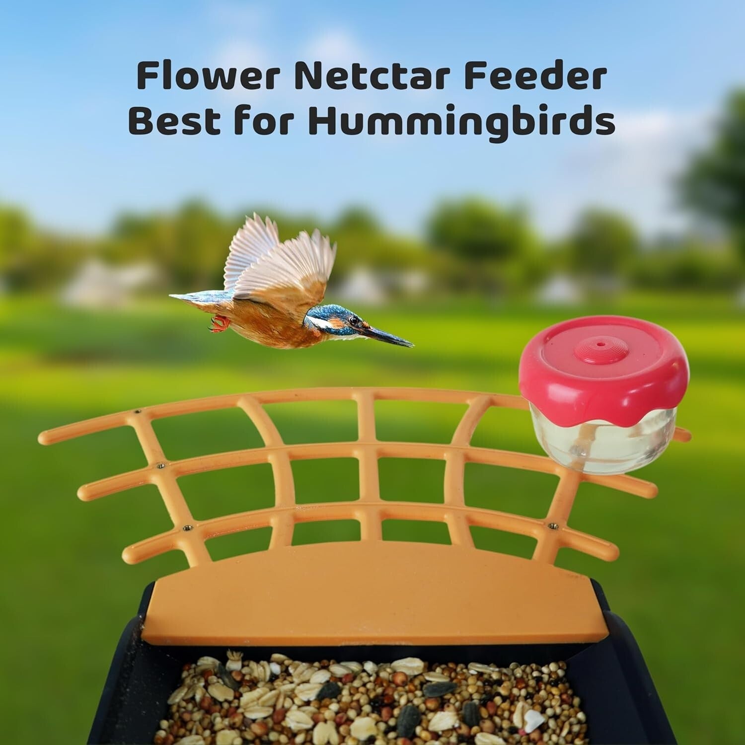 Solar Smart Bird Feeder - Capture, Identify and Enjoy Various Bird Species