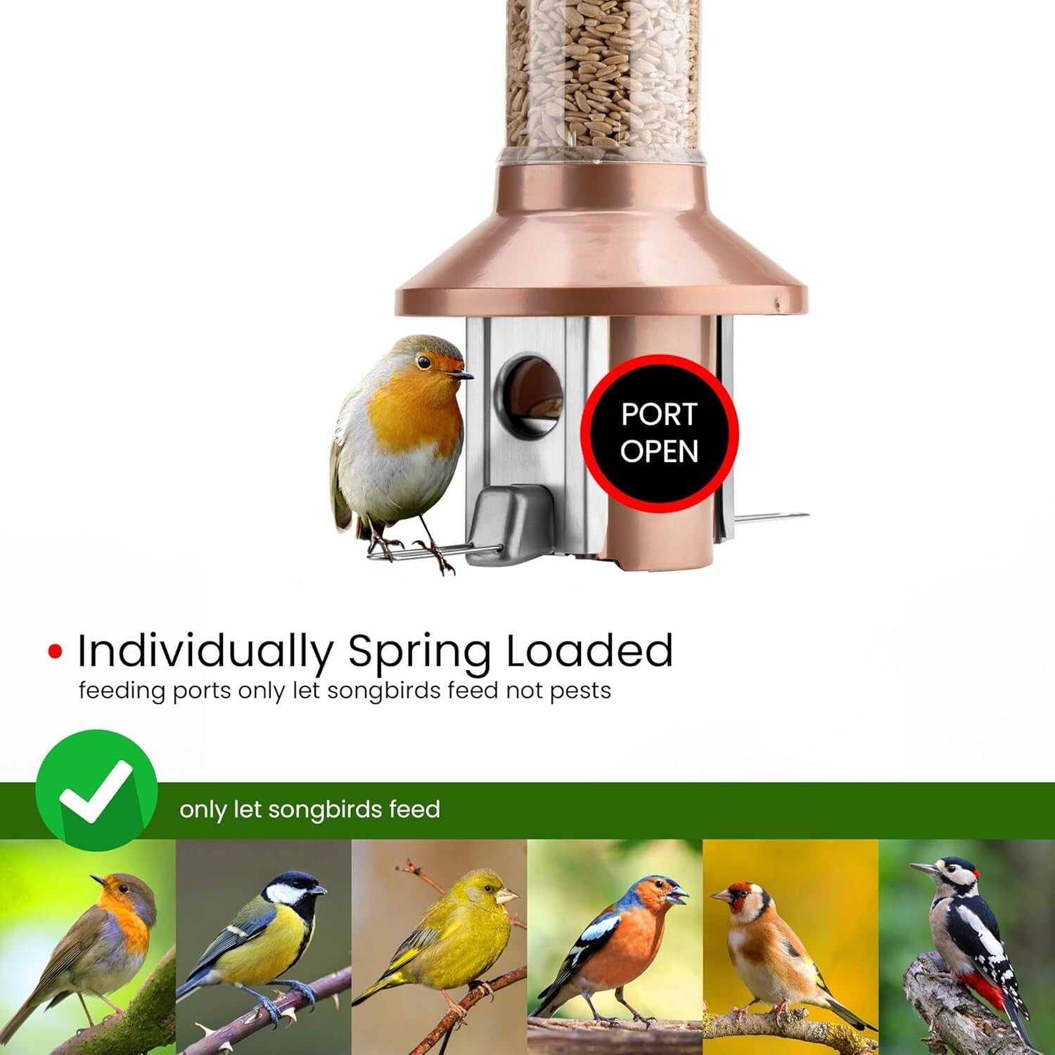 Weatherproof Antique Copper Wild Bird Feeder – Indestructible 4lb Capacity