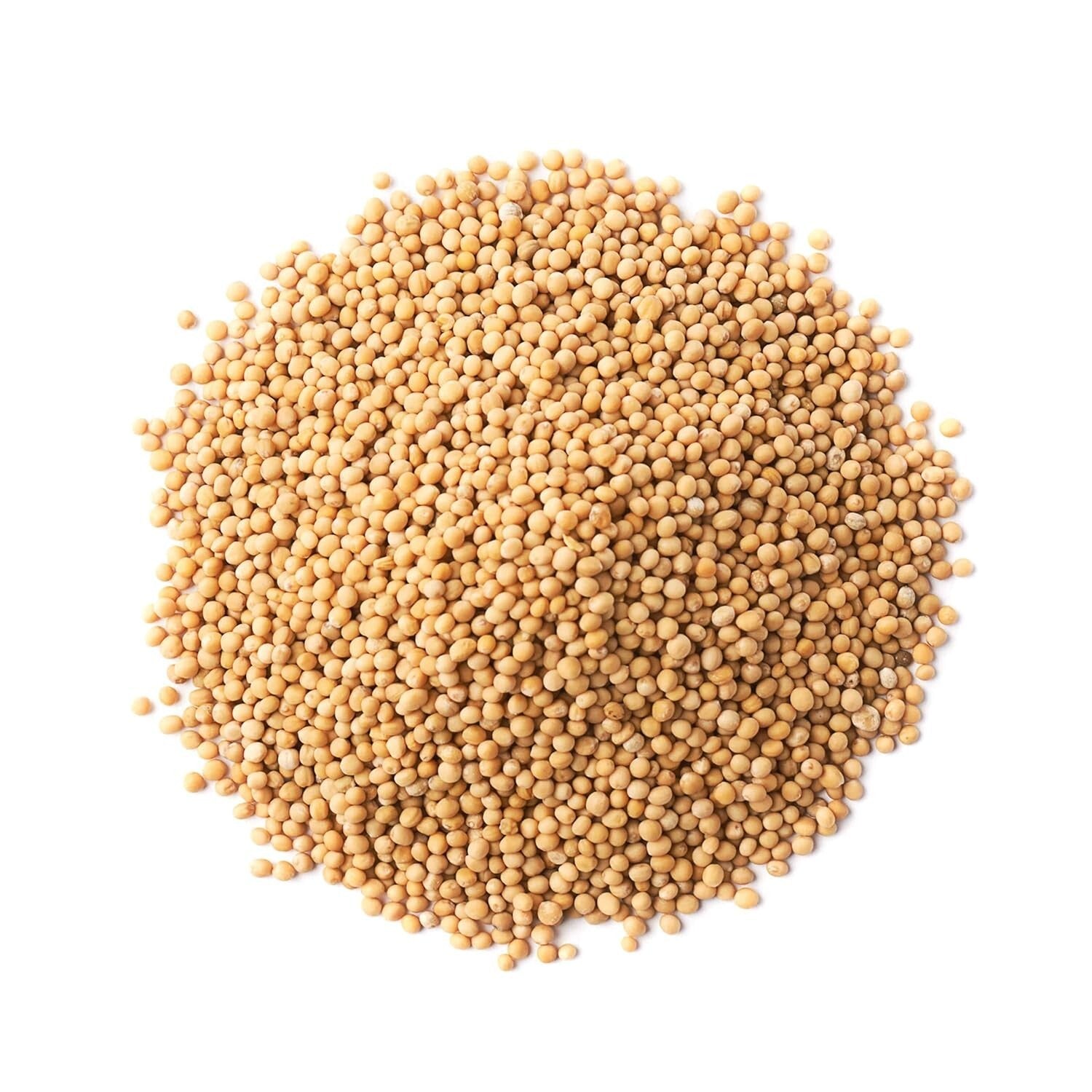 Vegan Organic Mustard Seeds, 20LB - Non-GMO Whole Spice for Exceptional Flavor