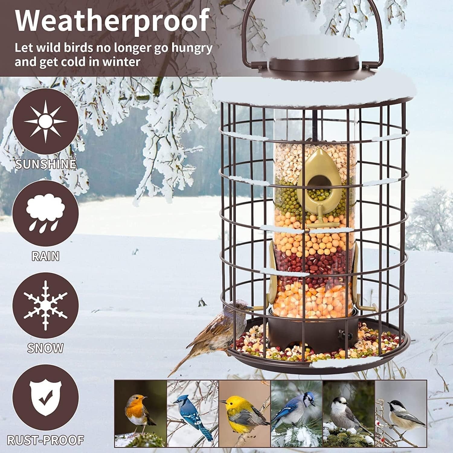 Caged Bird Feeder with Adjustable Feeding Ports - Squirrel-Proof Design, 3 lbs