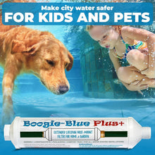 Load image into Gallery viewer, High-Capacity Boogie Blue Plus Water Filter for RV: 45K Gallons of Clean Water