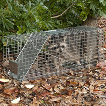 Load image into Gallery viewer, Professional Quality 1-Door Humane Animal Trap - Safe for Cats, Raccoons &amp; More