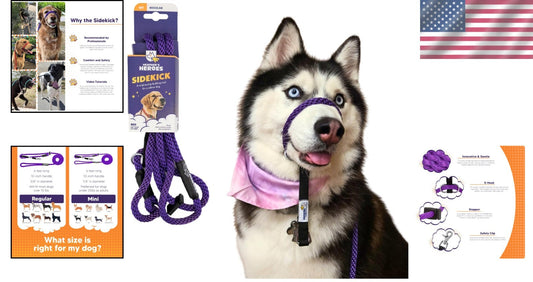 No-Pull Dog Headcollar with Leash - Gentle Training Tool, Purple, Regular Size