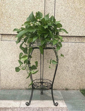 Load image into Gallery viewer, Black Powder-Coated 2-Tier Plant Stand - Heavy Duty for Indoors &amp; Outdoors