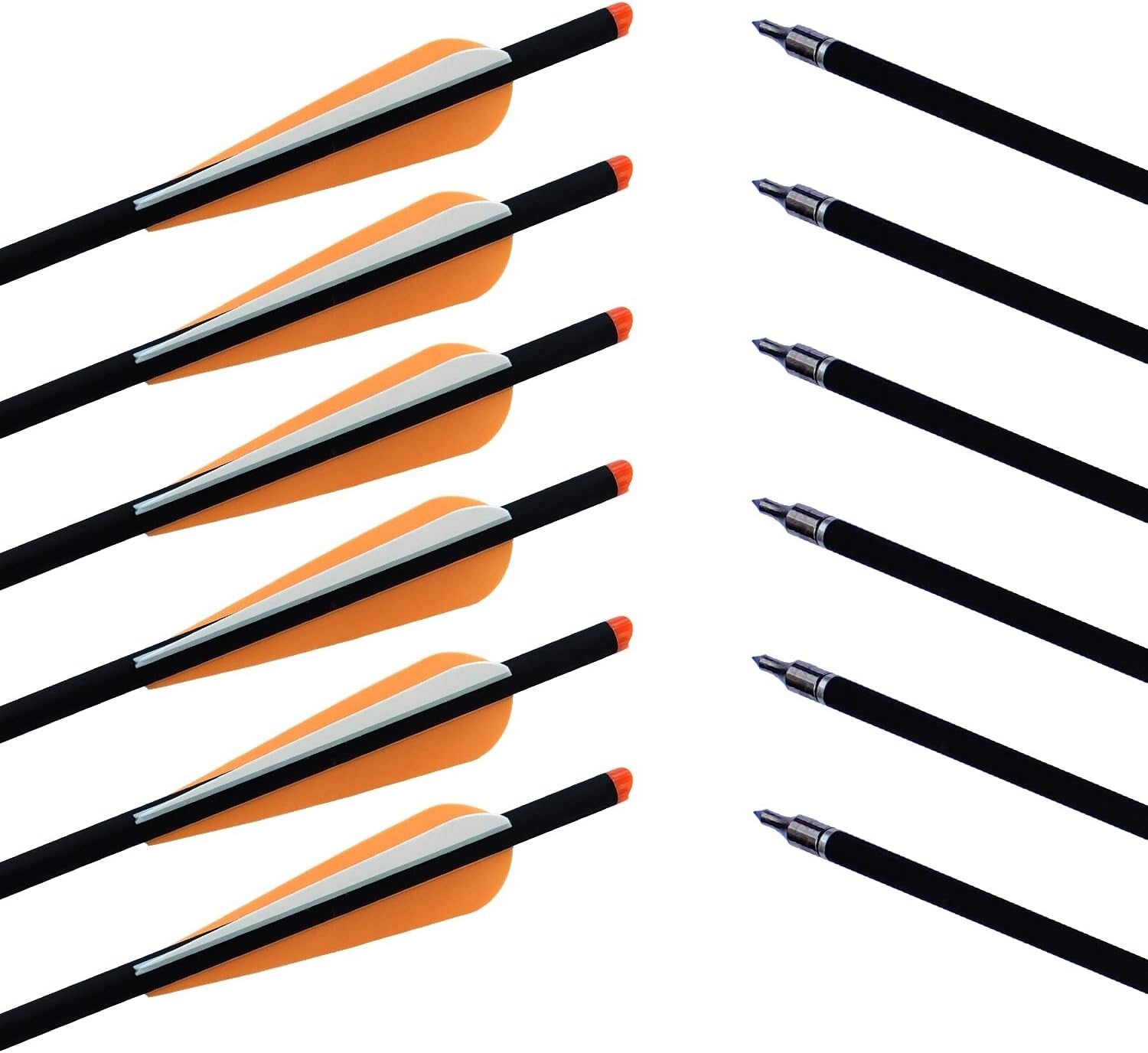 12 Carbon Crossbow Bolts & Broadheads Set - Perfect for Beginners and Practice