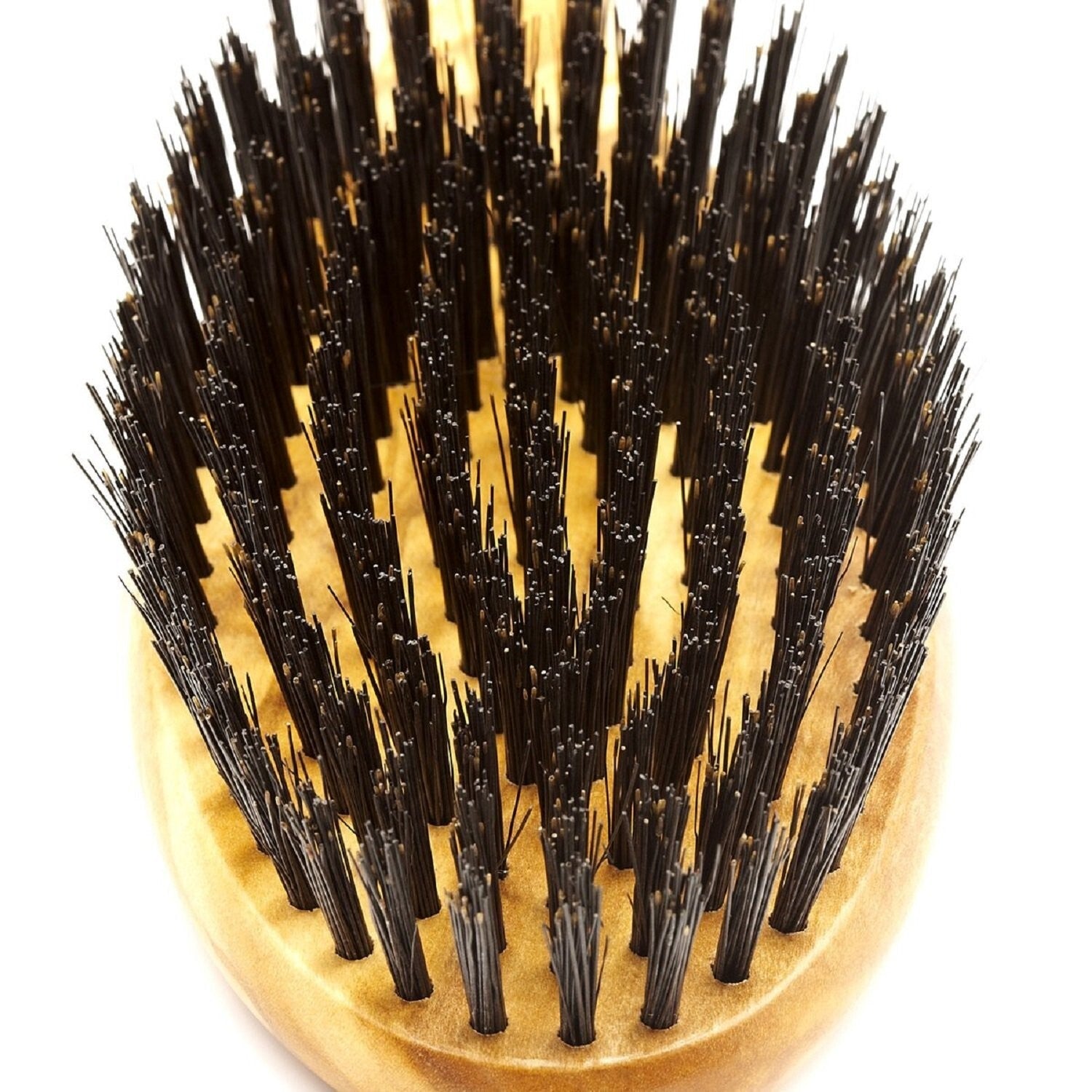 German-Made Men's Oval Hairbrush - Authentic Boar Bristles & Polished Olivewood