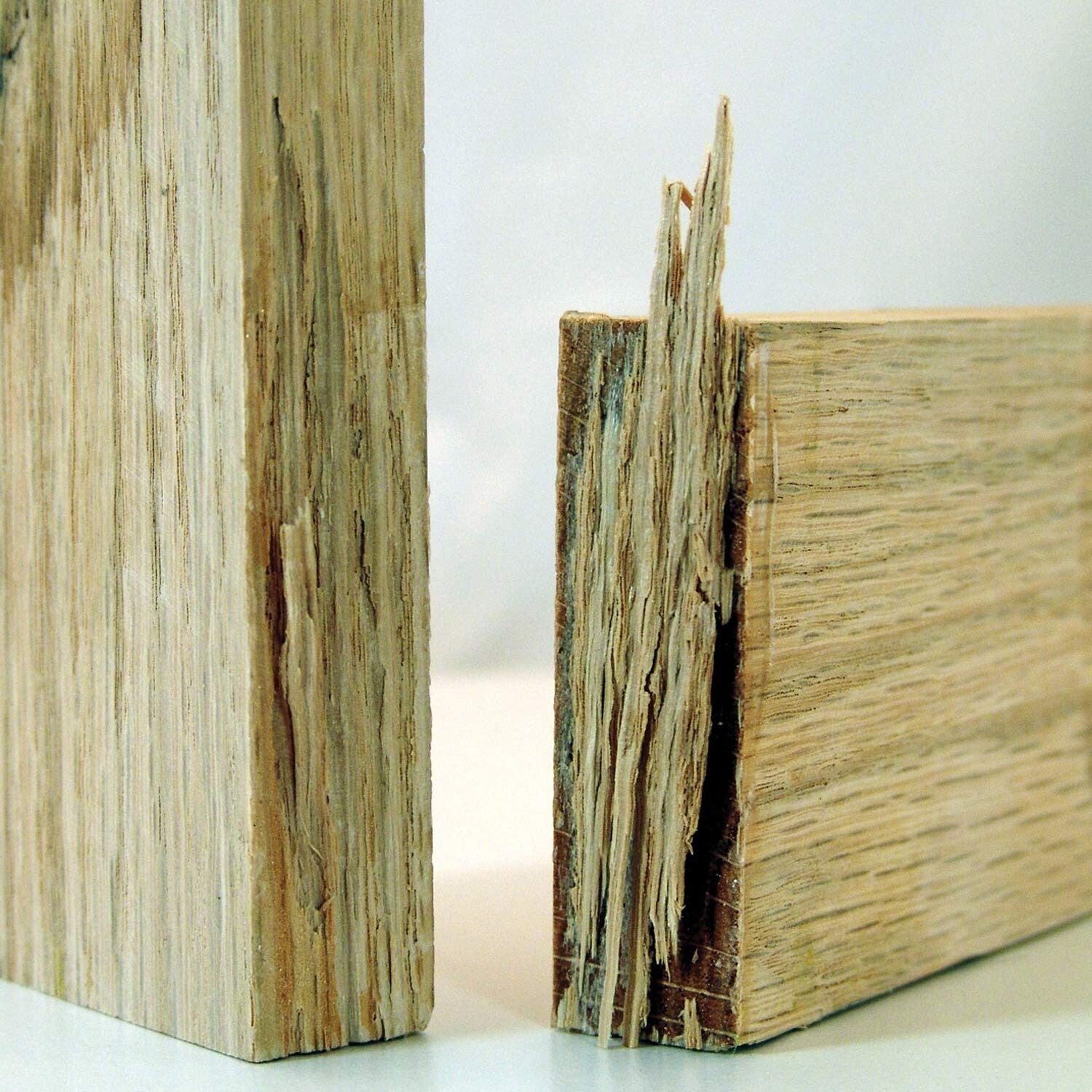 2P-10 Jel Wood Glue - Fast-Drying Clear Finish, Ideal for All Projects - 10 oz.