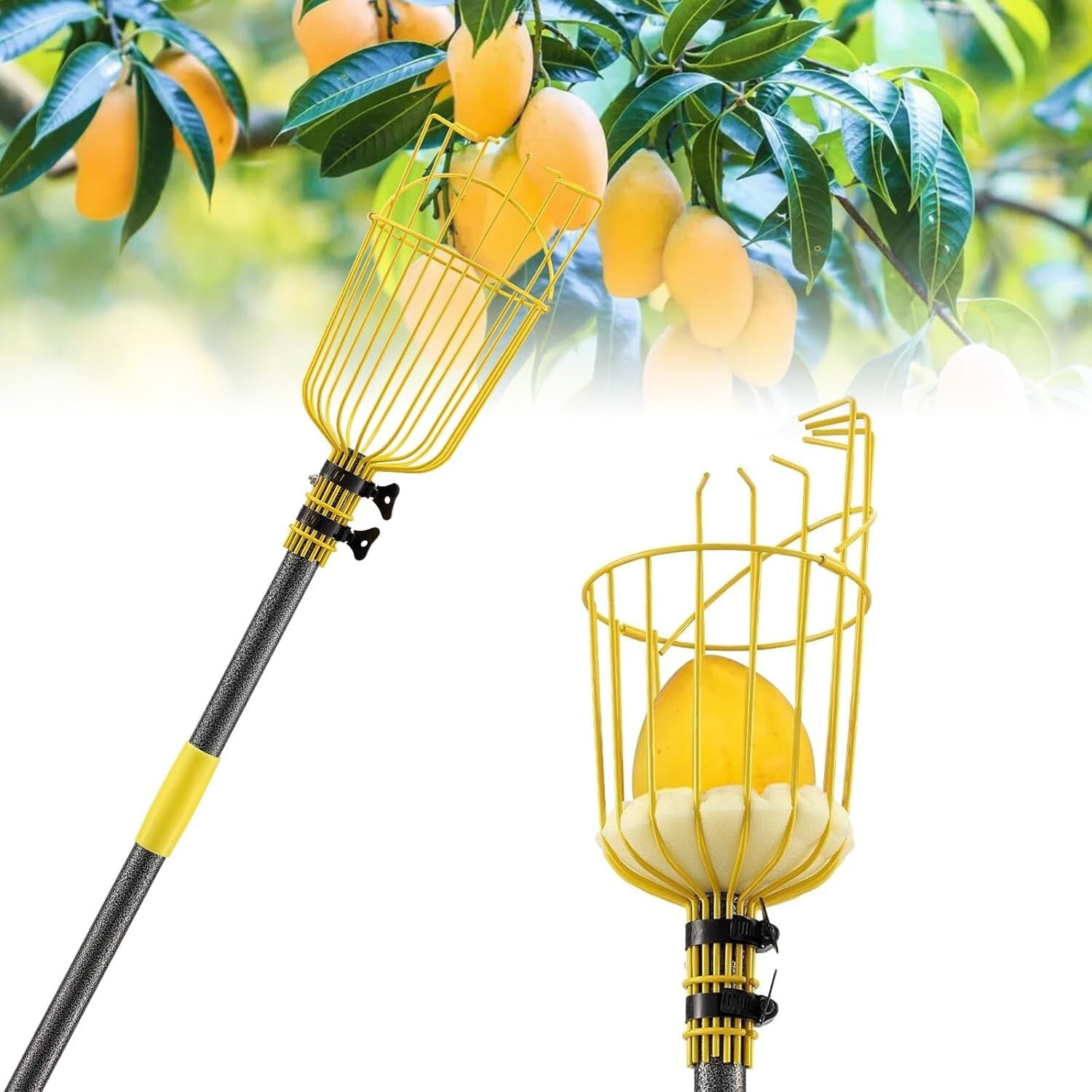 Heavy Duty 8FT Fruit Picker Pole with 5.5" Basket - Ideal for Home Gardens