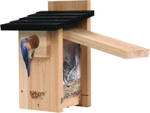 Load image into Gallery viewer, Elegant Cedar Bluebird House with Crack-Resistant Window and Fledgling Support