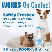 Load image into Gallery viewer, Nature's Miracle 32oz Odor Eliminator - Instant &amp; Safe Pet Odor Removal 2-Pack