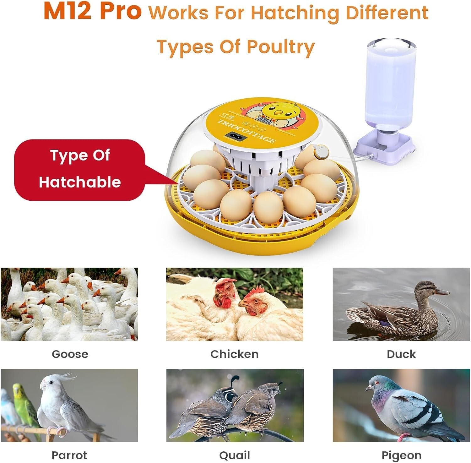 Ultimate Automatic Egg Incubator with Humidity Control for Chickens & Quail