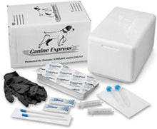 Load image into Gallery viewer, Professional Disposable Semen Transport for Dogs - Includes Gloves and Coolant