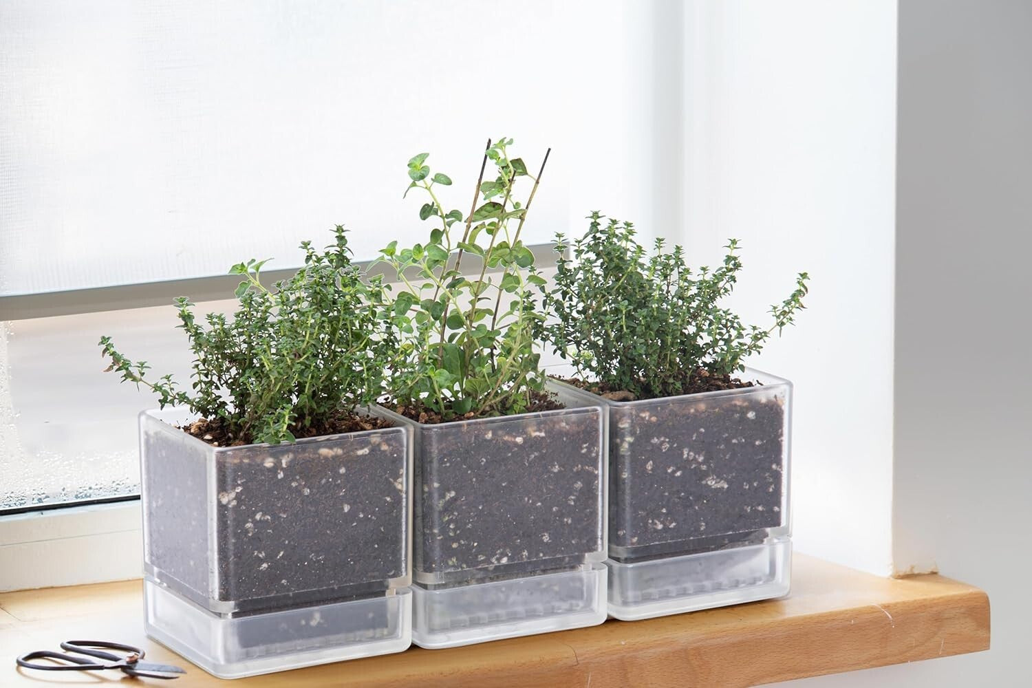 Stylish 4-Inch Plastic Herb Planter Pots with Drainage Holes for Indoor Use