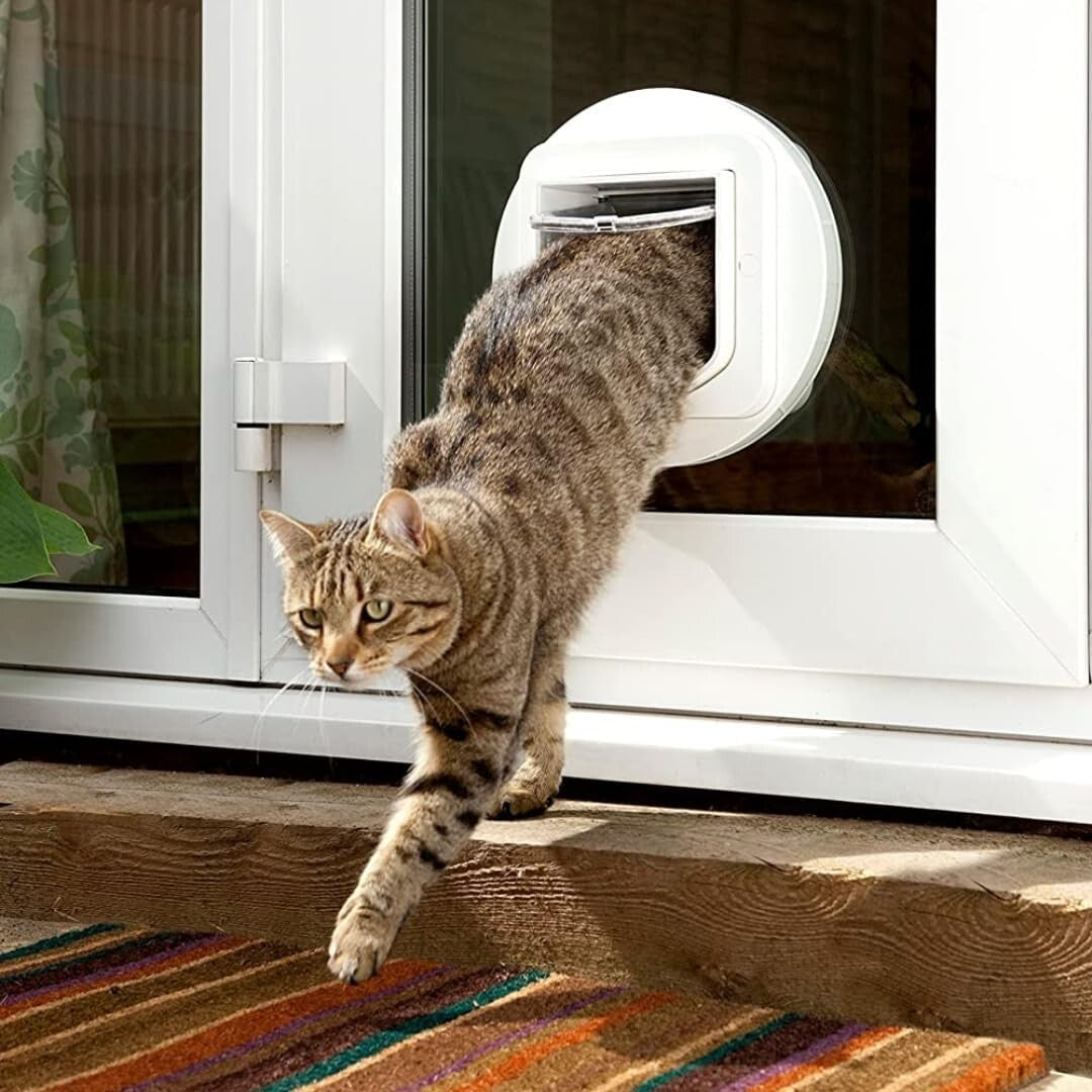 Elegant Microchip Cat Flap - Selective Entry Door with One-Button Programming