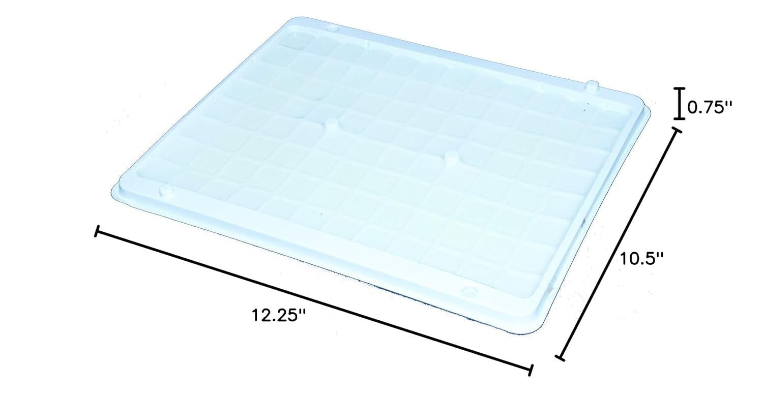 Extra-Large No-Mess Glue Traps for Rats, Mice, & Snakes - Cold Weather Ready