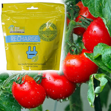 Load image into Gallery viewer, Professional Strength Instant Compost Tea - 16oz Soil Microbes for All Plants