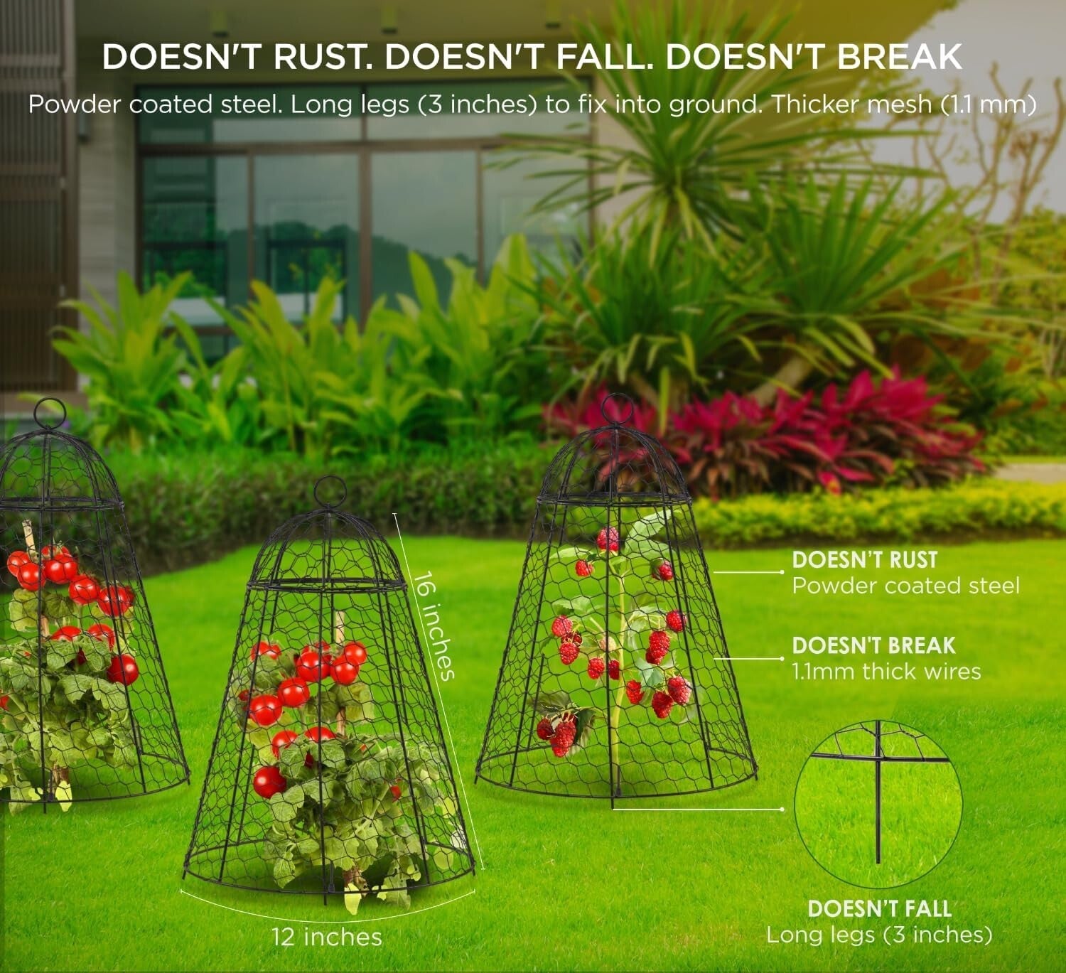 12x20 Inch Rustproof Garden Cloches - Pack of 6 for Ultimate Plant Protection