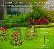 Load image into Gallery viewer, 12x20 Inch Rustproof Garden Cloches - Pack of 6 for Ultimate Plant Protection