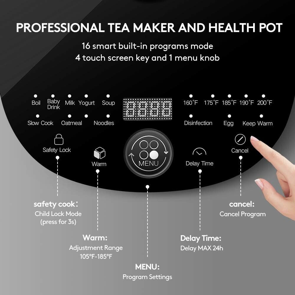 Electric Tea Kettle with Precise Temperature Control & Easy-Pour Spout | Black