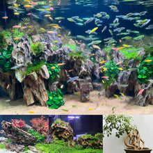 Load image into Gallery viewer, 20LB Dragon Stone Aquarium Rock - Enhances Aquatic Life &amp; Decor (2-8 Inches)