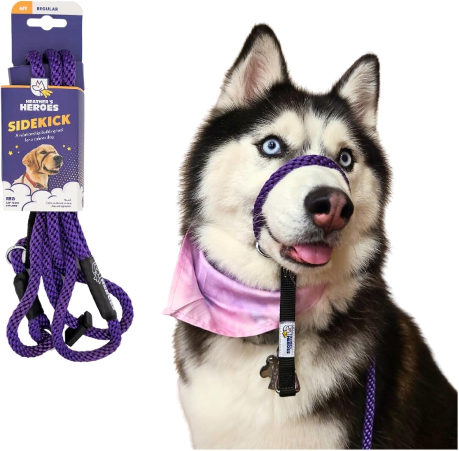 No-Pull Dog Headcollar with Leash - Gentle Training Tool, Purple, Regular Size