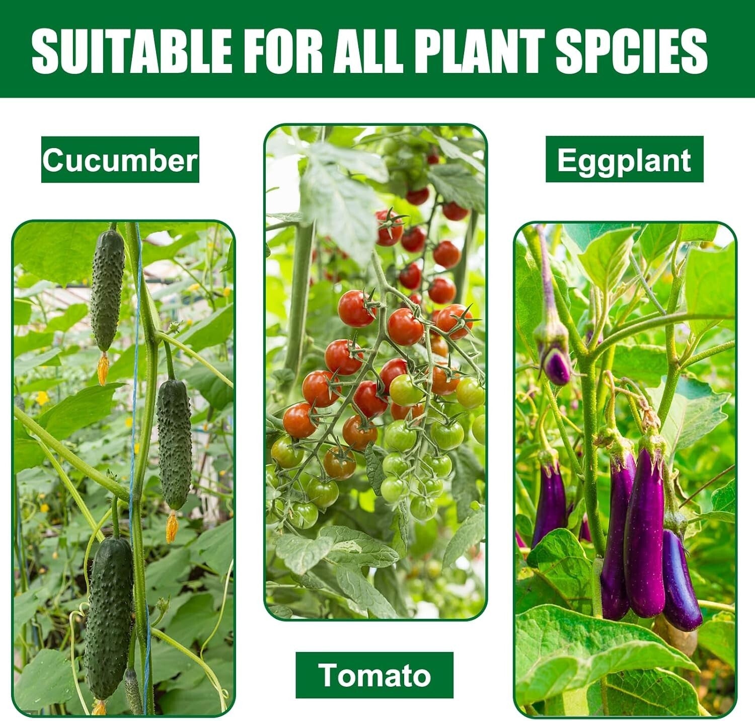 Rustproof 6ft Plastic Coated Steel Plant Stakes for Strong Garden Support