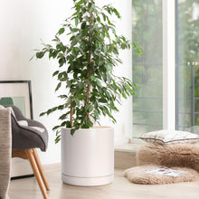 Load image into Gallery viewer, Large Round Ceramic Plant Pot - 10" Oatmeal Planter with Drainage Hole &amp; Saucer