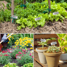 Load image into Gallery viewer, 50-Pack Weatherproof Metal Plant Labels - Reusable Garden Markers, 10.6'' Height